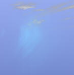 pfxdat25.jpg pfxdat25.jpg