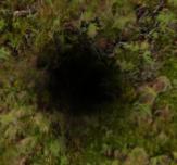 finsterniskugel2.jpg finsterniskugel2.jpg