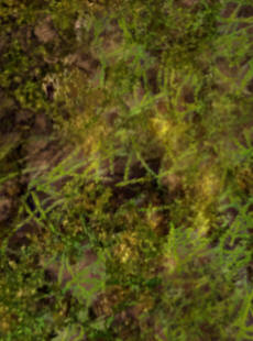 pfxdat30.jpg pfxdat30.jpg