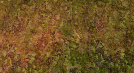 pfxdat40.jpg pfxdat40.jpg